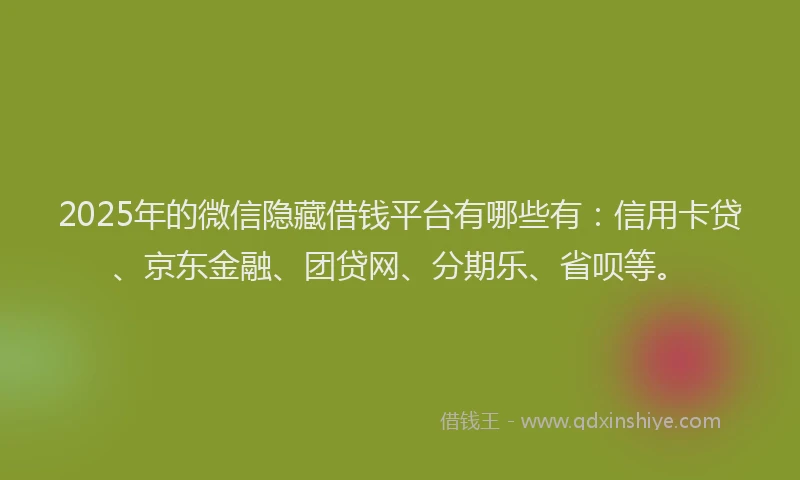 2025年的微信隐藏借钱平台有哪些有：信用卡贷、京东金融、团贷网、分期乐、省呗等。
