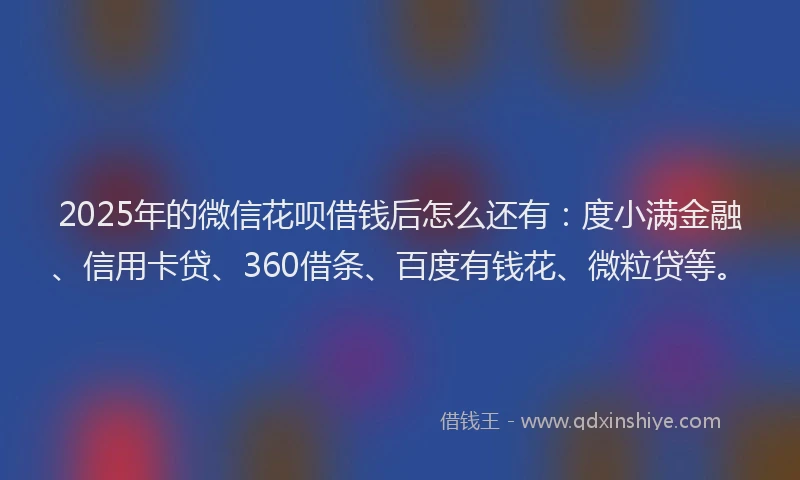 2025年的微信花呗借钱后怎么还有：度小满金融、信用卡贷、360借条、百度有钱花、微粒贷等。