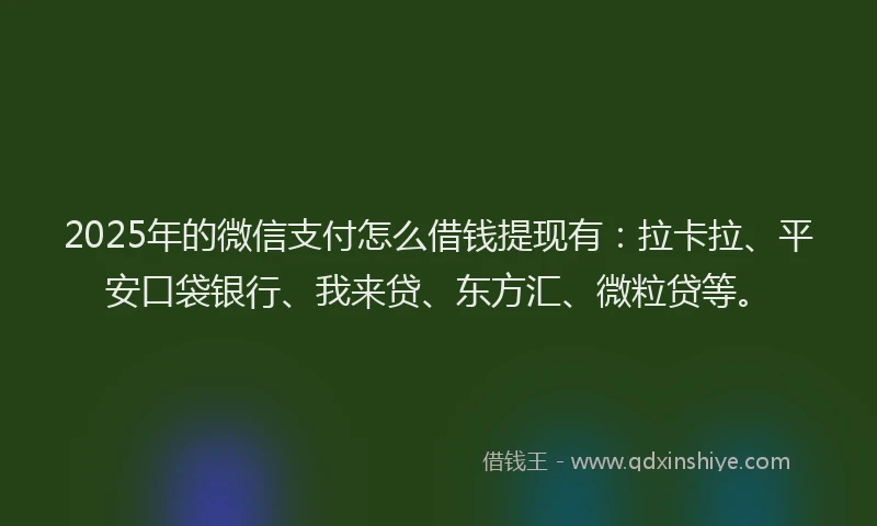 2025年的微信支付怎么借钱提现有：拉卡拉、平安口袋银行、我来贷、东方汇、微粒贷等。