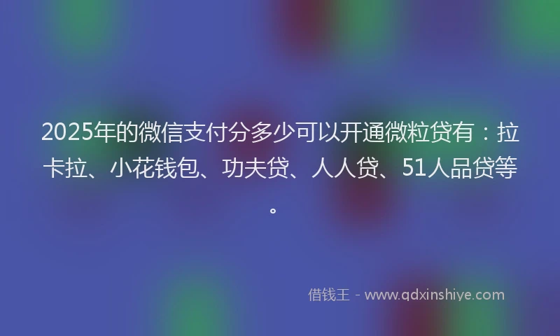 2025年的微信支付分多少可以开通微粒贷有：拉卡拉、小花钱包、功夫贷、人人贷、51人品贷等。