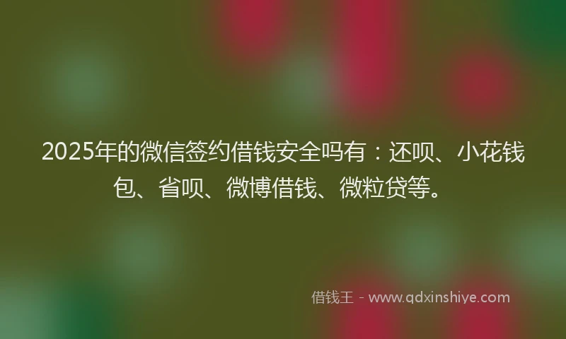 2025年的微信签约借钱安全吗有：还呗、小花钱包、省呗、微博借钱、微粒贷等。