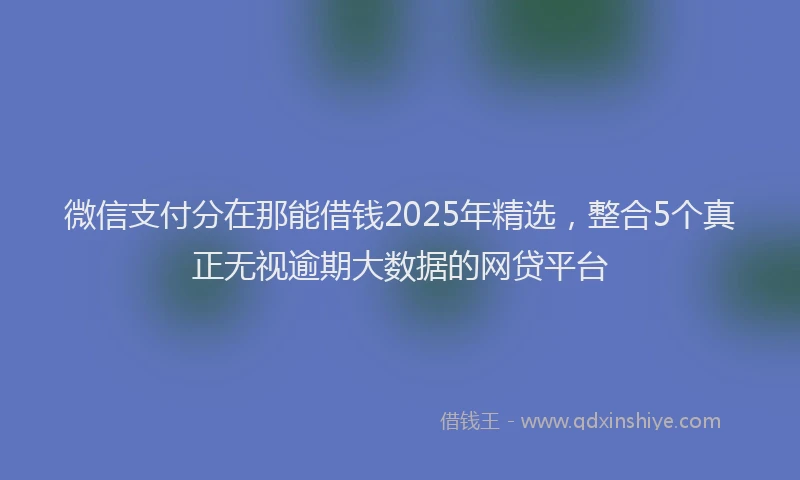 微信支付分在那能借钱2025年精选，整合5个真正无视逾期大数据的网贷平台