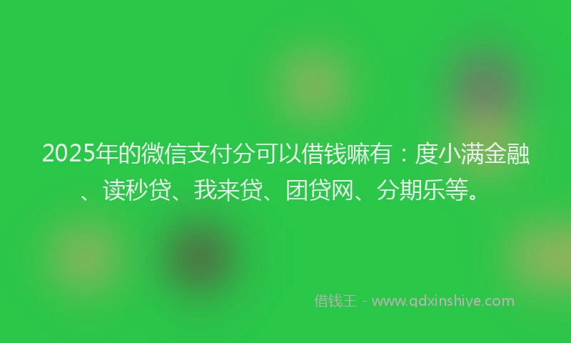 2025年的微信支付分可以借钱嘛有：度小满金融、读秒贷、我来贷、团贷网、分期乐等。