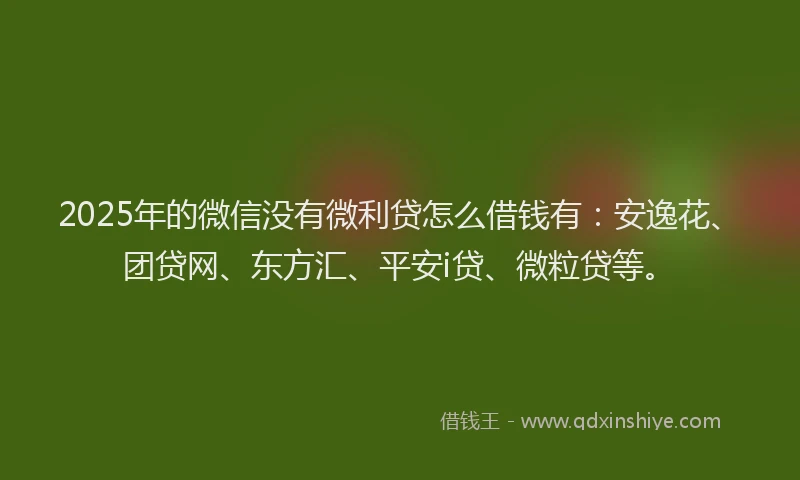 2025年的微信没有微利贷怎么借钱有：安逸花、团贷网、东方汇、平安i贷、微粒贷等。