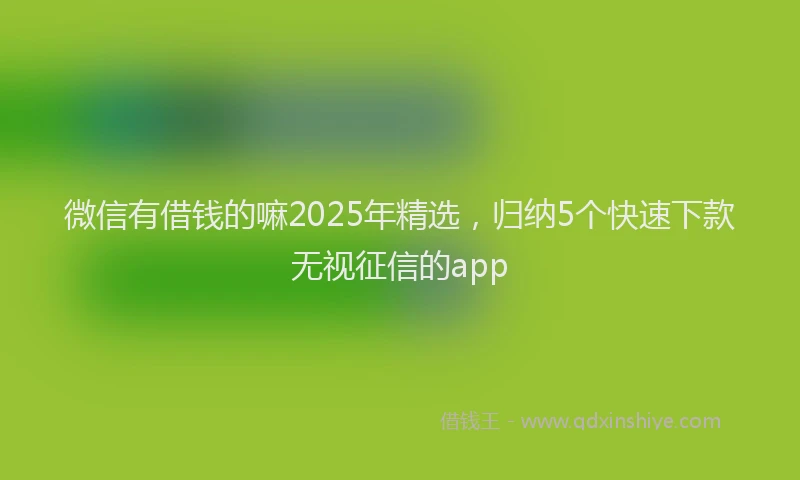 微信有借钱的嘛2025年精选，归纳5个快速下款无视征信的app