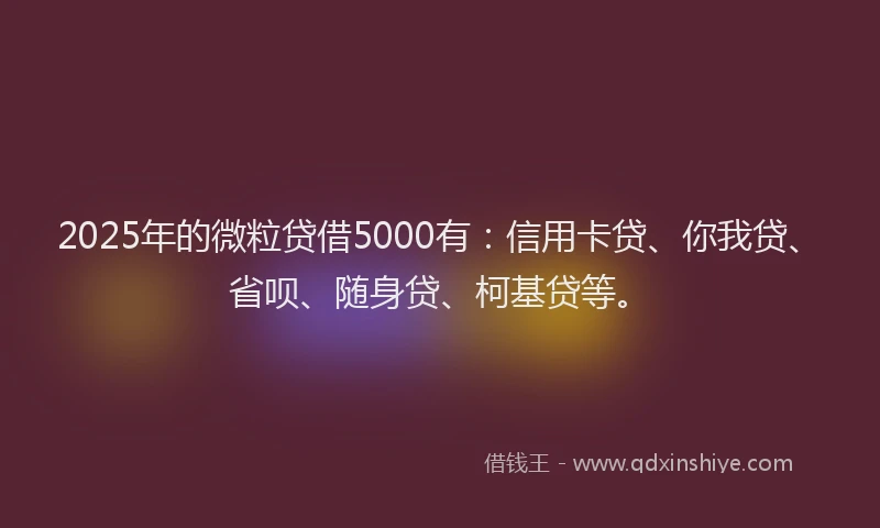 2025年的微粒贷借5000有：信用卡贷、你我贷、省呗、随身贷、柯基贷等。