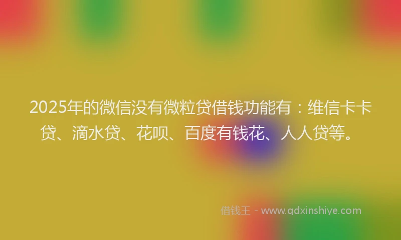 2025年的微信没有微粒贷借钱功能有：维信卡卡贷、滴水贷、花呗、百度有钱花、人人贷等。