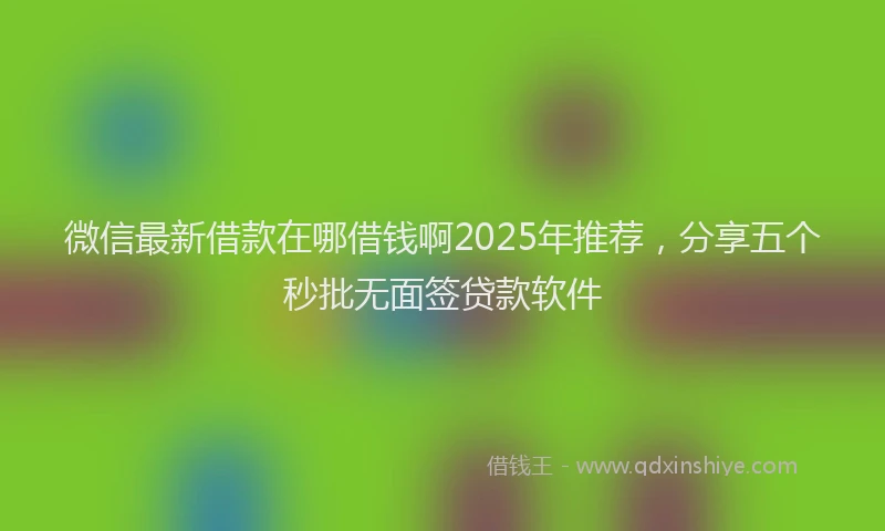 微信最新借款在哪借钱啊2025年推荐，分享五个秒批无面签贷款软件