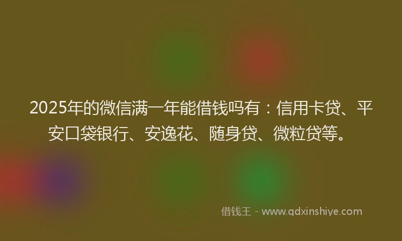 2025年的微信满一年能借钱吗有：信用卡贷、平安口袋银行、安逸花、随身贷、微粒贷等。