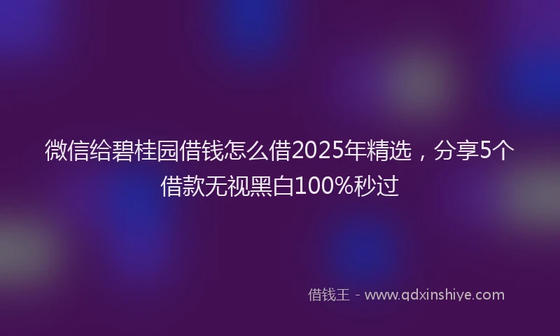 微信给碧桂园借钱怎么借2025年精选，分享5个借款无视黑白100%秒过