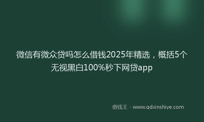 微信有微众贷吗怎么借钱2025年精选，概括5个无视黑白100%秒下网贷app