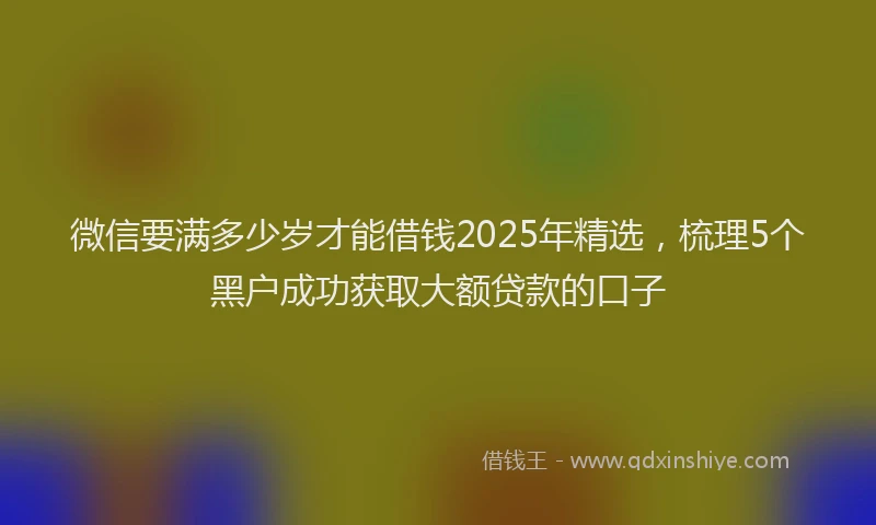 微信要满多少岁才能借钱2025年精选，梳理5个黑户成功获取大额贷款的口子