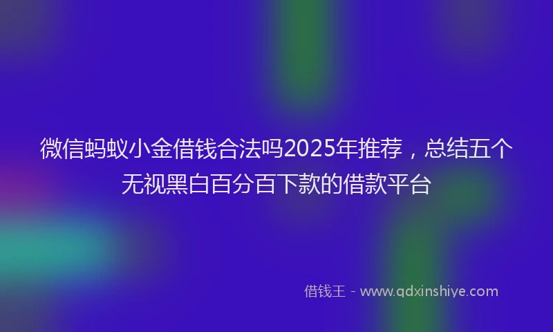 微信蚂蚁小金借钱合法吗2025年推荐，总结五个无视黑白百分百下款的借款平台