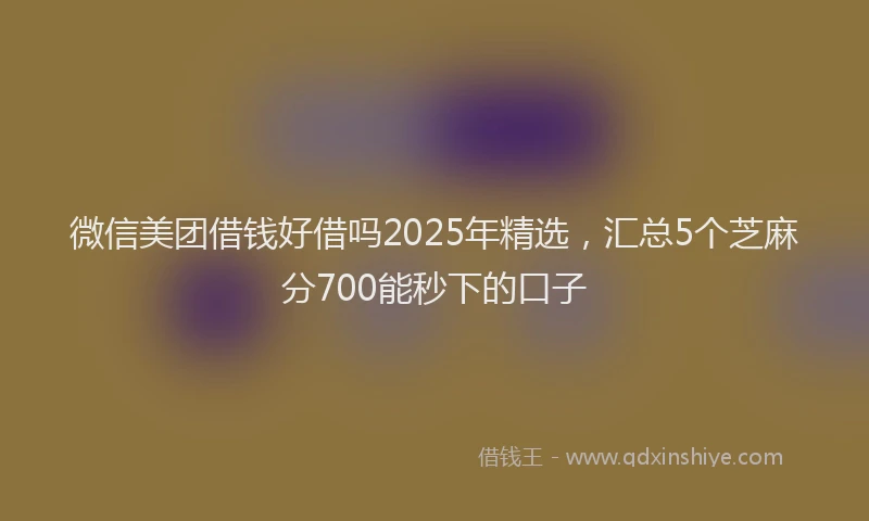 微信美团借钱好借吗2025年精选，汇总5个芝麻分700能秒下的口子