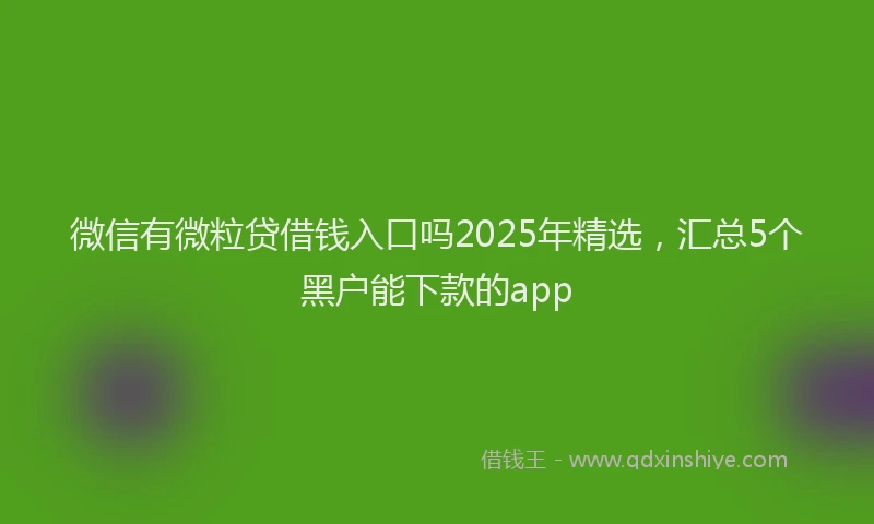 微信有微粒贷借钱入口吗2025年精选，汇总5个黑户能下款的app