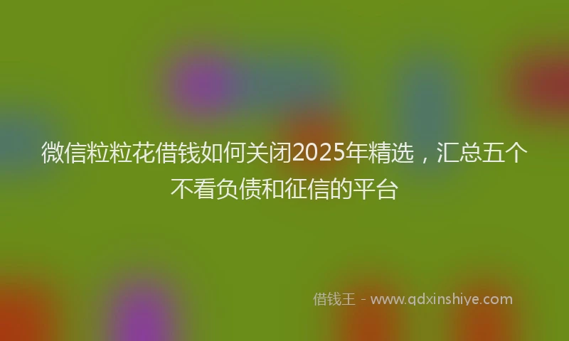 微信粒粒花借钱如何关闭2025年精选，汇总五个不看负债和征信的平台