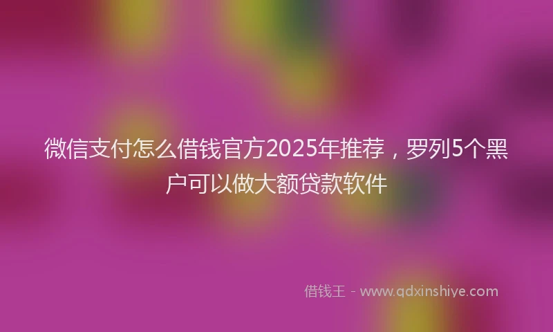 微信支付怎么借钱官方2025年推荐，罗列5个黑户可以做大额贷款软件