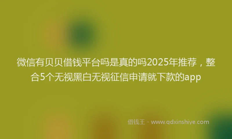 微信有贝贝借钱平台吗是真的吗2025年推荐，整合5个无视黑白无视征信申请就下款的app