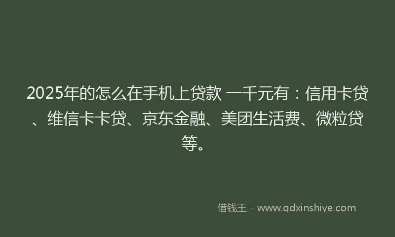 2025年的怎么在手机上贷款 一千元有：信用卡贷、维信卡卡贷、京东金融、美团生活费、微粒贷等。