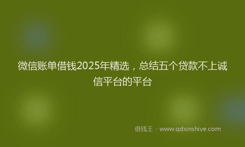 微信账单借钱2025年精选，总结五个贷款不上诚信平台的平台