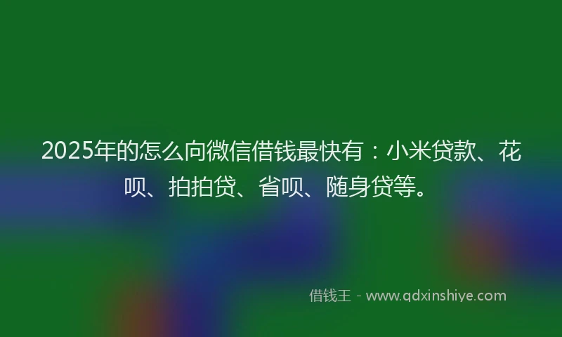 2025年的怎么向微信借钱最快有：小米贷款、花呗、拍拍贷、省呗、随身贷等。