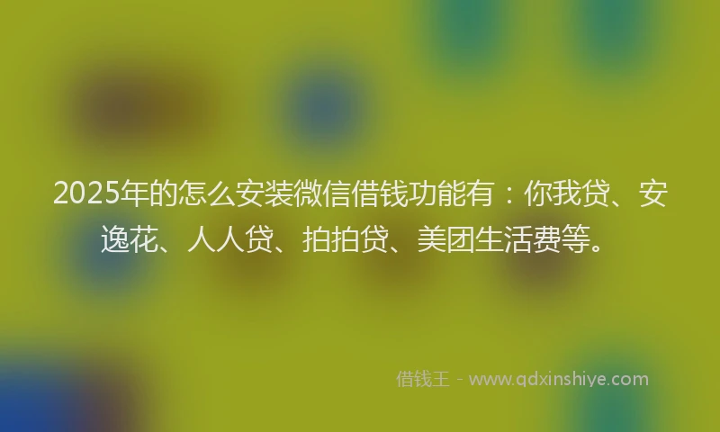 2025年的怎么安装微信借钱功能有：你我贷、安逸花、人人贷、拍拍贷、美团生活费等。