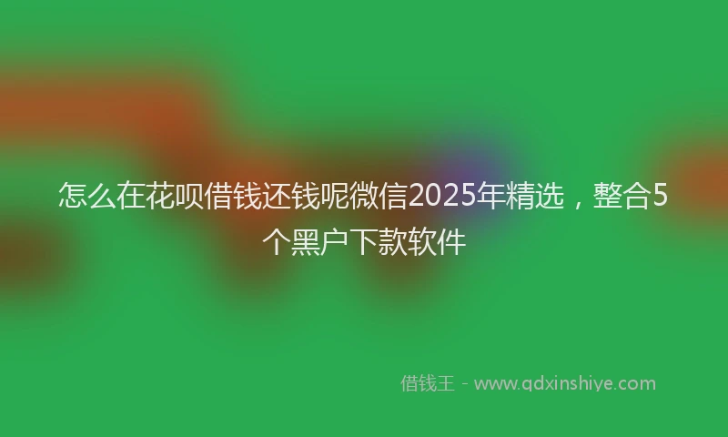 怎么在花呗借钱还钱呢微信2025年精选，整合5个黑户下款软件