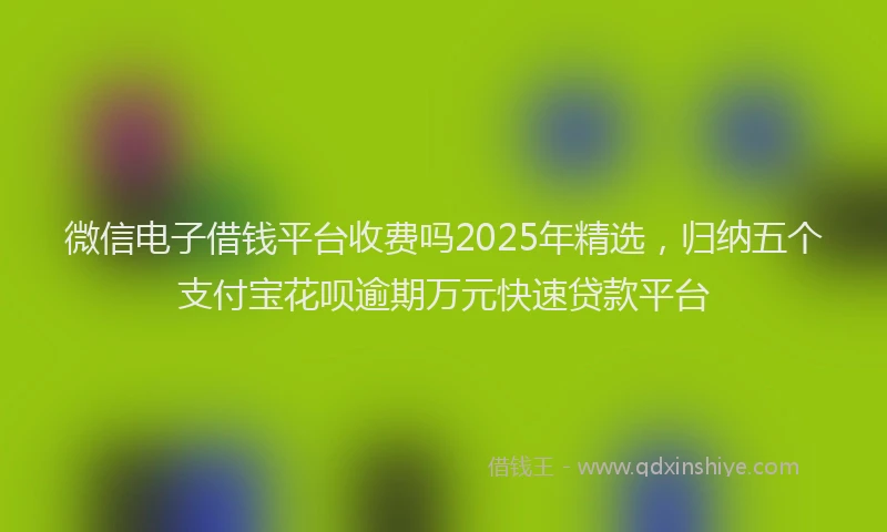 微信电子借钱平台收费吗2025年精选，归纳五个支付宝花呗逾期万元快速贷款平台