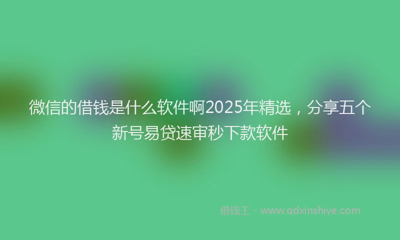微信的借钱是什么软件啊2025年精选，分享五个新号易贷速审秒下款软件