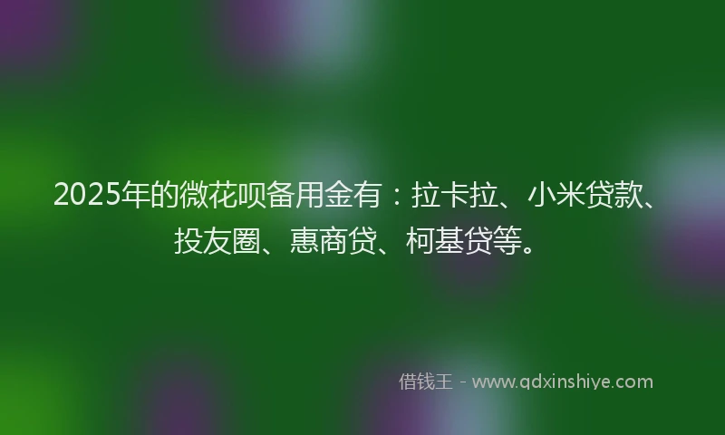 2025年的微花呗备用金有：拉卡拉、小米贷款、投友圈、惠商贷、柯基贷等。