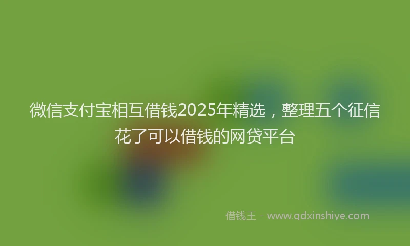 微信支付宝相互借钱2025年精选，整理五个征信花了可以借钱的网贷平台
