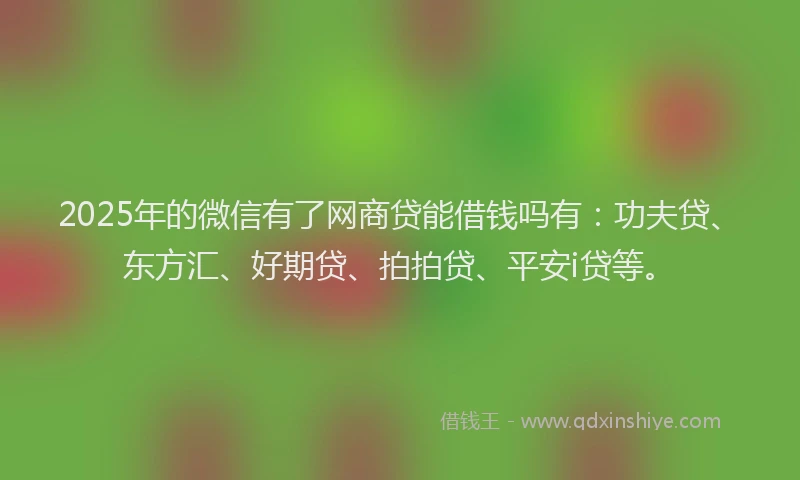 2025年的微信有了网商贷能借钱吗有：功夫贷、东方汇、好期贷、拍拍贷、平安i贷等。