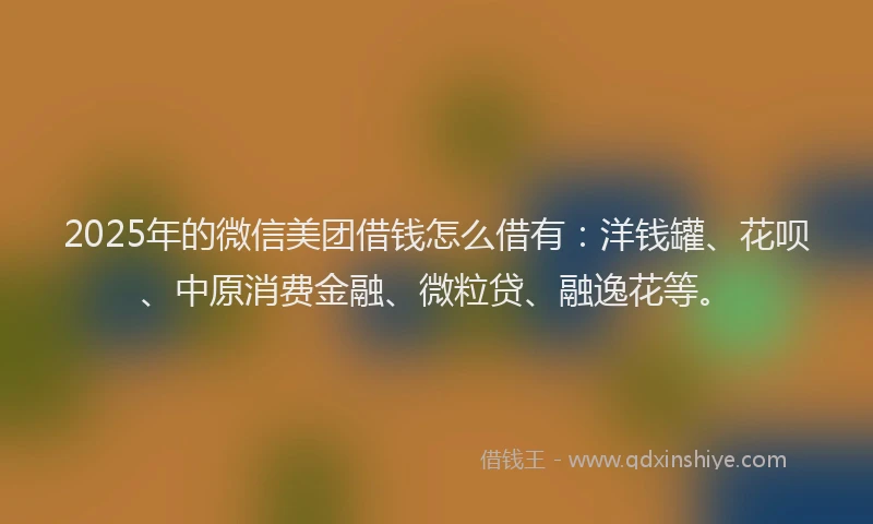 2025年的微信美团借钱怎么借有：洋钱罐、花呗、中原消费金融、微粒贷、融逸花等。