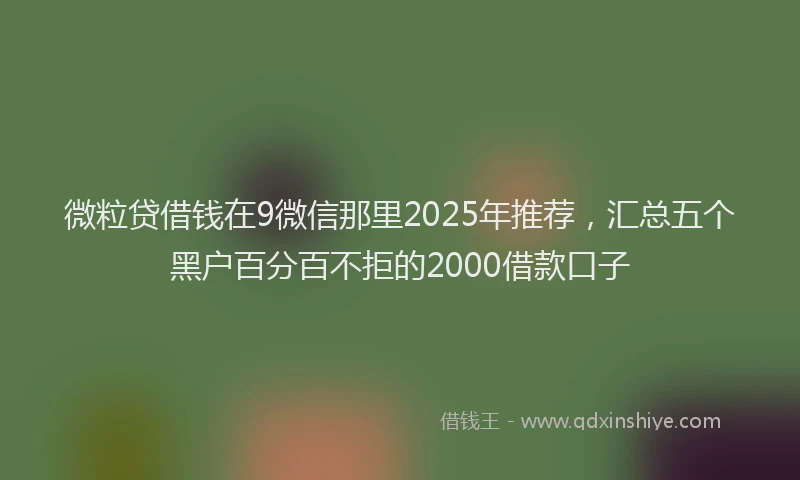 微粒贷借钱在9微信那里2025年推荐，汇总五个黑户百分百不拒的2000借款口子