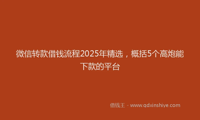 微信转款借钱流程2025年精选，概括5个高炮能下款的平台