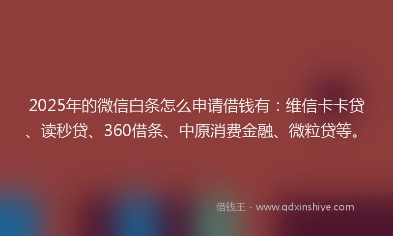 2025年的微信白条怎么申请借钱有：维信卡卡贷、读秒贷、360借条、中原消费金融、微粒贷等。