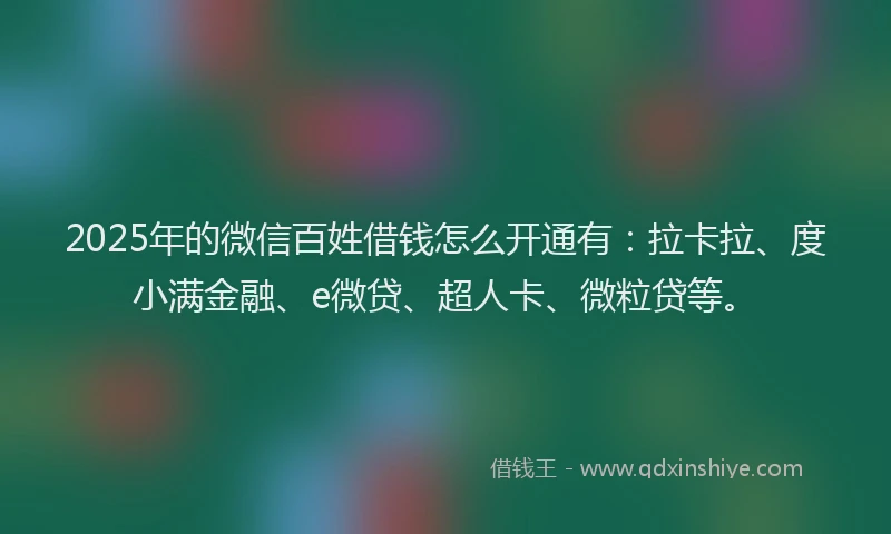 2025年的微信百姓借钱怎么开通有：拉卡拉、度小满金融、e微贷、超人卡、微粒贷等。