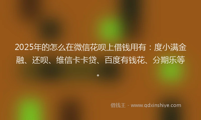 2025年的怎么在微信花呗上借钱用有：度小满金融、还呗、维信卡卡贷、百度有钱花、分期乐等。