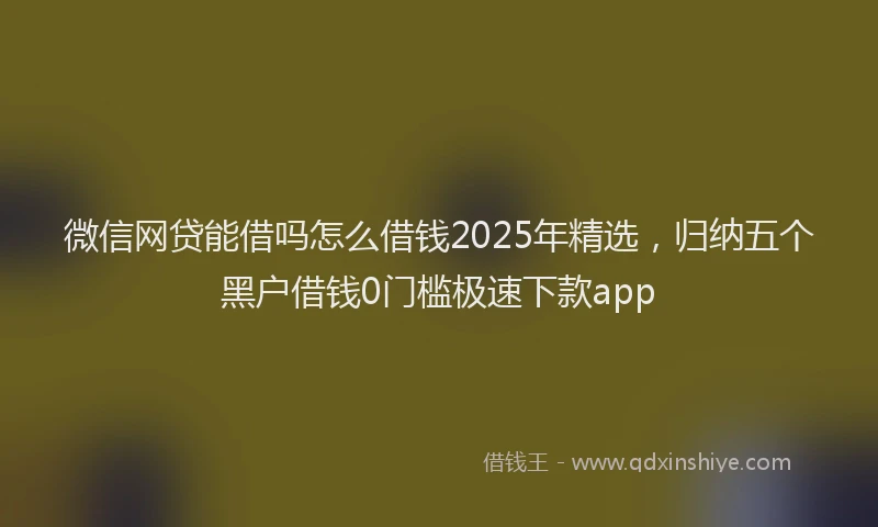 微信网贷能借吗怎么借钱2025年精选，归纳五个黑户借钱0门槛极速下款app