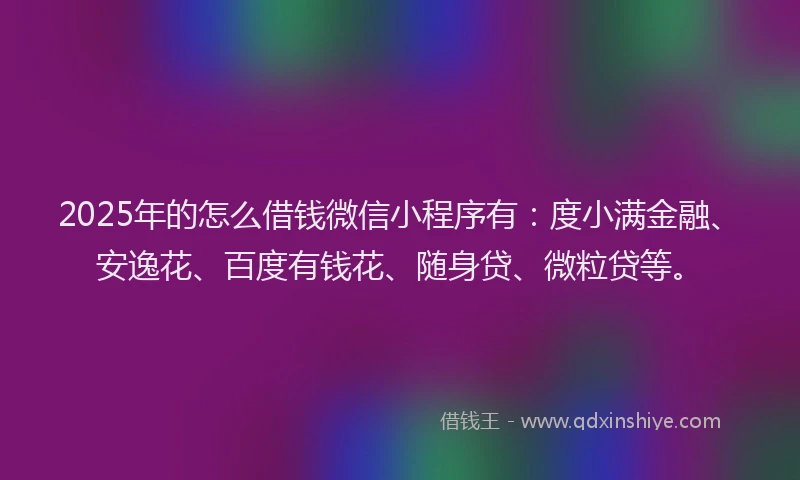 2025年的怎么借钱微信小程序有：度小满金融、安逸花、百度有钱花、随身贷、微粒贷等。