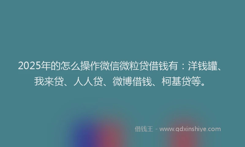 2025年的怎么操作微信微粒贷借钱有：洋钱罐、我来贷、人人贷、微博借钱、柯基贷等。