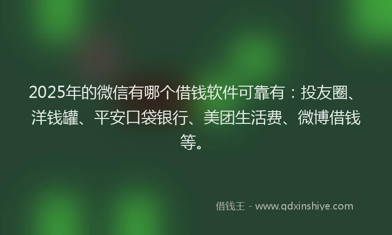2025年的微信有哪个借钱软件可靠有：投友圈、洋钱罐、平安口袋银行、美团生活费、微博借钱等。