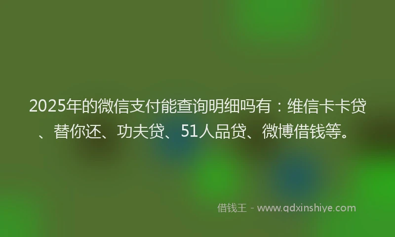 2025年的微信支付能查询明细吗有：维信卡卡贷、替你还、功夫贷、51人品贷、微博借钱等。