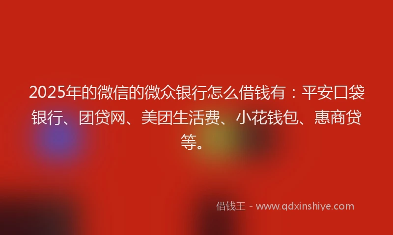 2025年的微信的微众银行怎么借钱有：平安口袋银行、团贷网、美团生活费、小花钱包、惠商贷等。