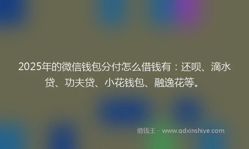 2025年的微信钱包分付怎么借钱有：还呗、滴水贷、功夫贷、小花钱包、融逸花等。