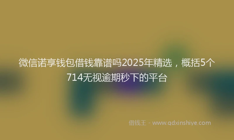 微信诺享钱包借钱靠谱吗2025年精选，概括5个714无视逾期秒下的平台