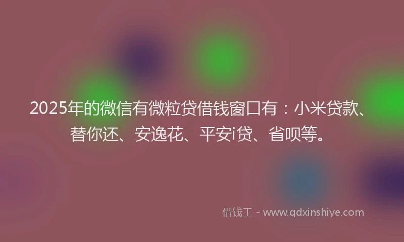 2025年的微信有微粒贷借钱窗口有：小米贷款、替你还、安逸花、平安i贷、省呗等。