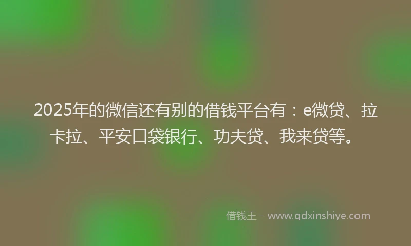 2025年的微信还有别的借钱平台有：e微贷、拉卡拉、平安口袋银行、功夫贷、我来贷等。