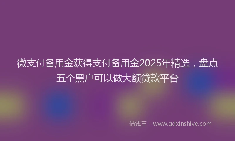 微支付备用金获得支付备用金2025年精选，盘点五个黑户可以做大额贷款平台