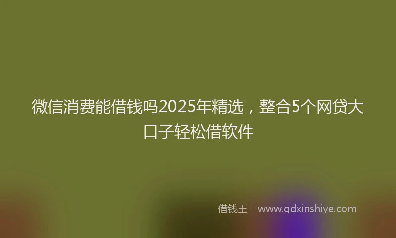 微信消费能借钱吗2025年精选，整合5个网贷大口子轻松借软件
